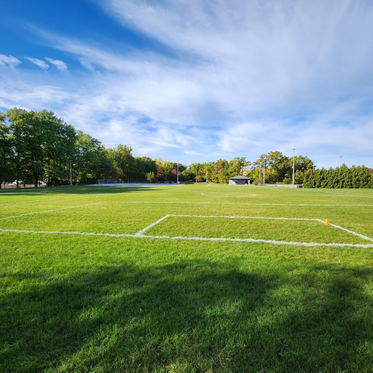 Empty soccer field with green grass and blue sky.